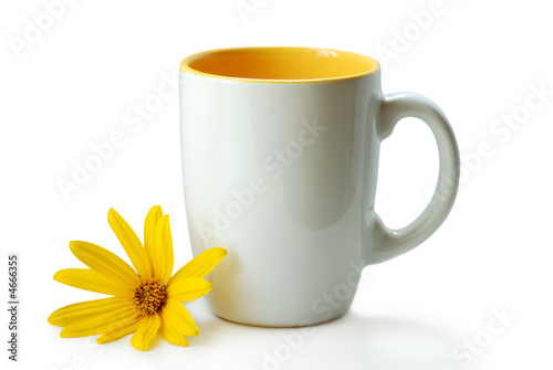 tazza bianca con fiore giallo