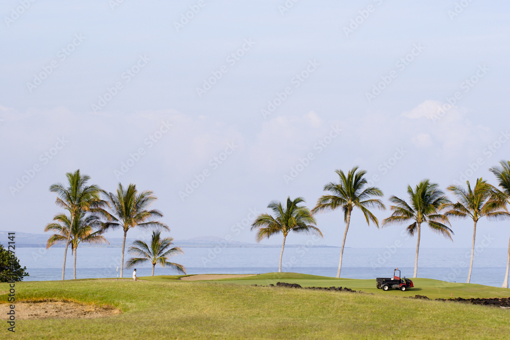 Hawaiian Golf Course Maintenance