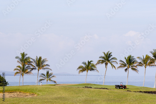 Hawaiian Golf Course Maintenance © EuToch