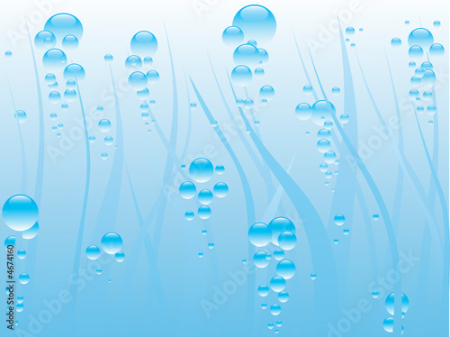 Underwater. [Vector] 