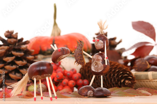 Canvas Print autumn decoration
