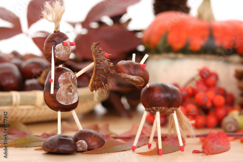 Canvas Print autumn decoration