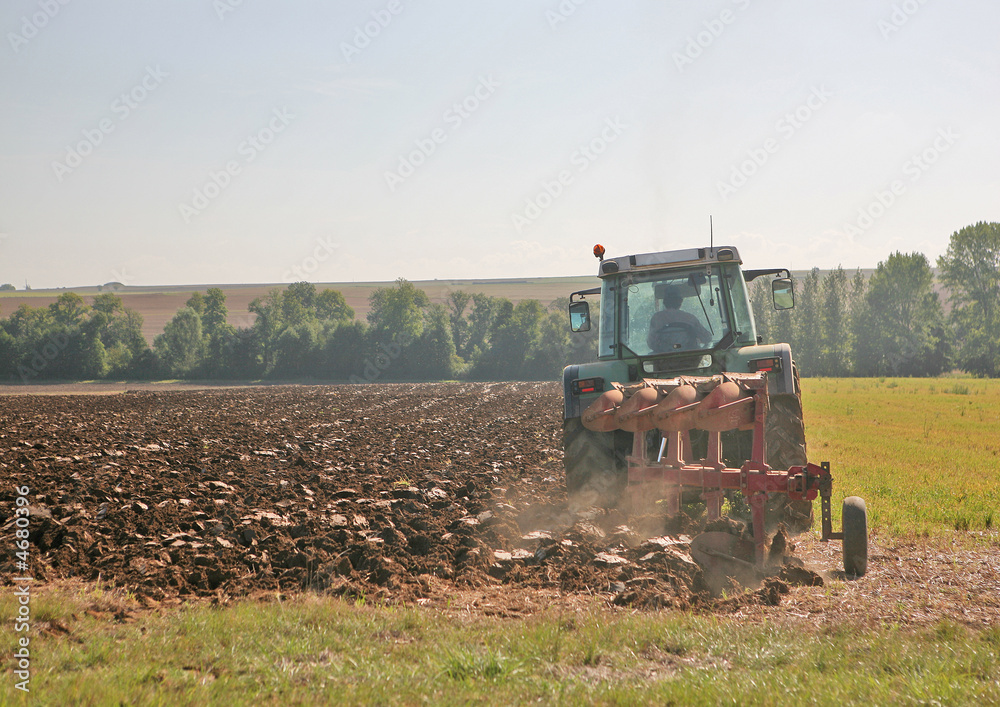 Fototapeta premium Travaux de labour