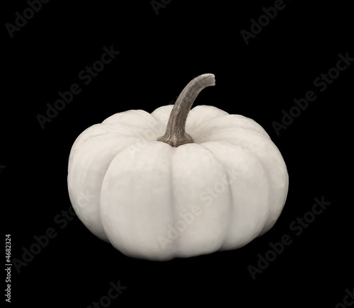 White Pumpkin on Black