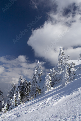 Ski path © Tudor Stanica