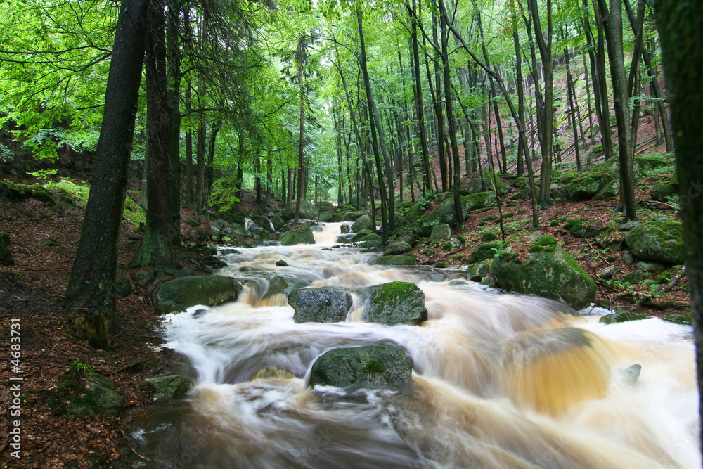 Naklejka premium Gebirgsbach bei Hochwasser