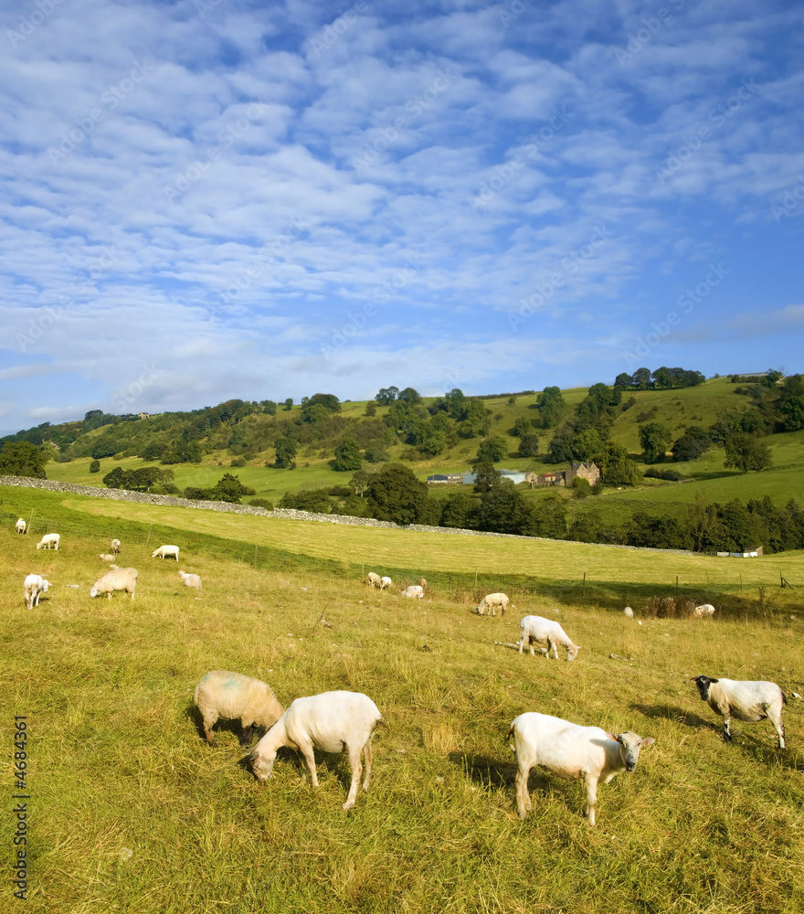 Obraz premium dovedale