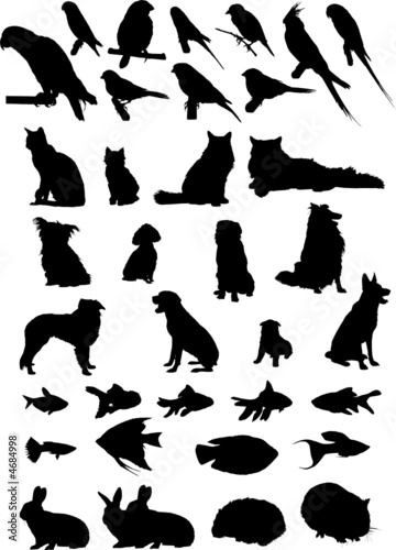 36 Animal Pets Silhouettes