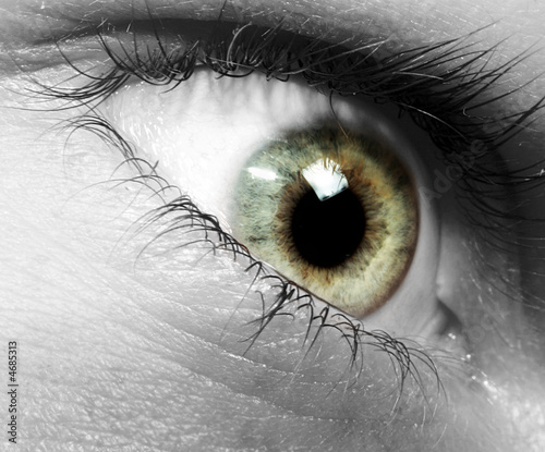 Auge Makro SW-SC
