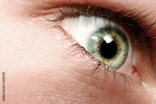 Auge Makro