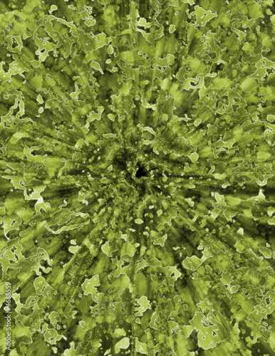 Quadro em tela microorganisms background 01