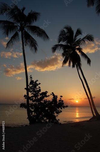coucher de soleil a bayahibe.république dominicaine