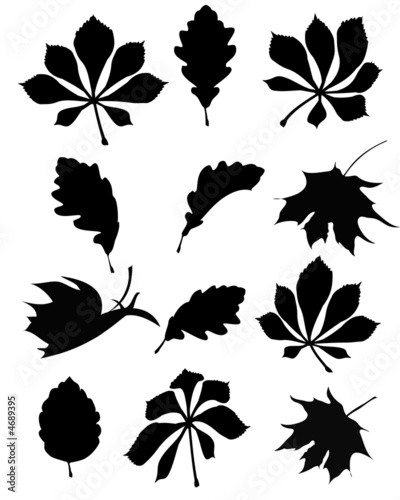 Herbstblätter Silhouetten