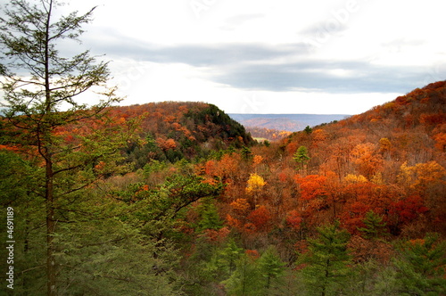 Hills of West Virginia