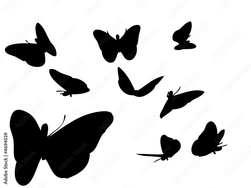 butterfly shapes butterfly shapes