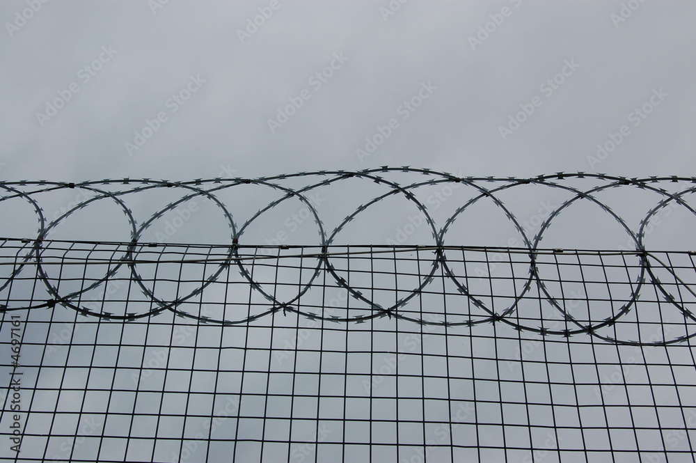 razor wire on fence razor wire on fence