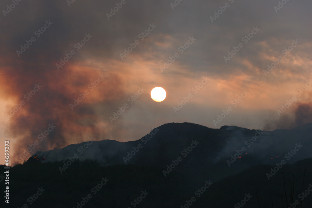 Forest fire Forest fire