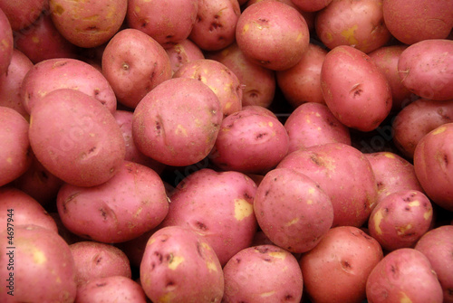 Red Potatos