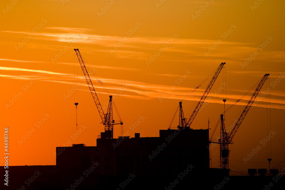 Silhouette of cranes