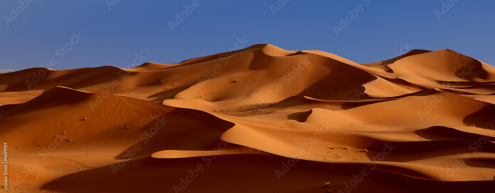 Obraz premium crepuscule du desert