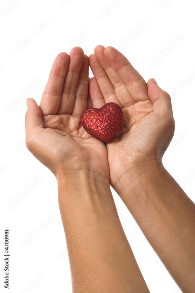 heart in hand heart in hand
