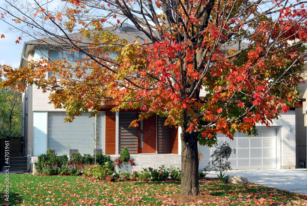 Naklejka premium Modern two storey house with colorful maple tree in autumn