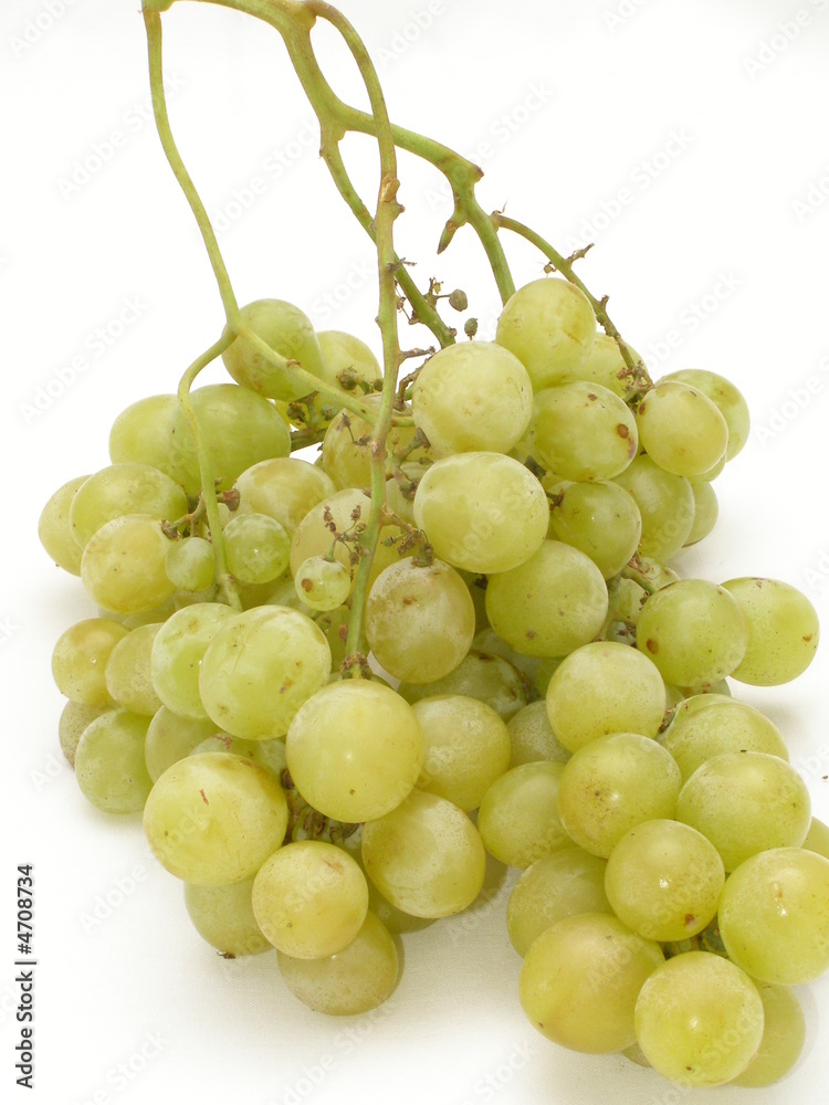 grappe de raisin blanc grappe de raisin blanc