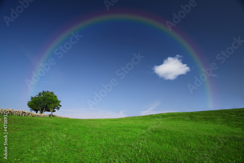 Green field