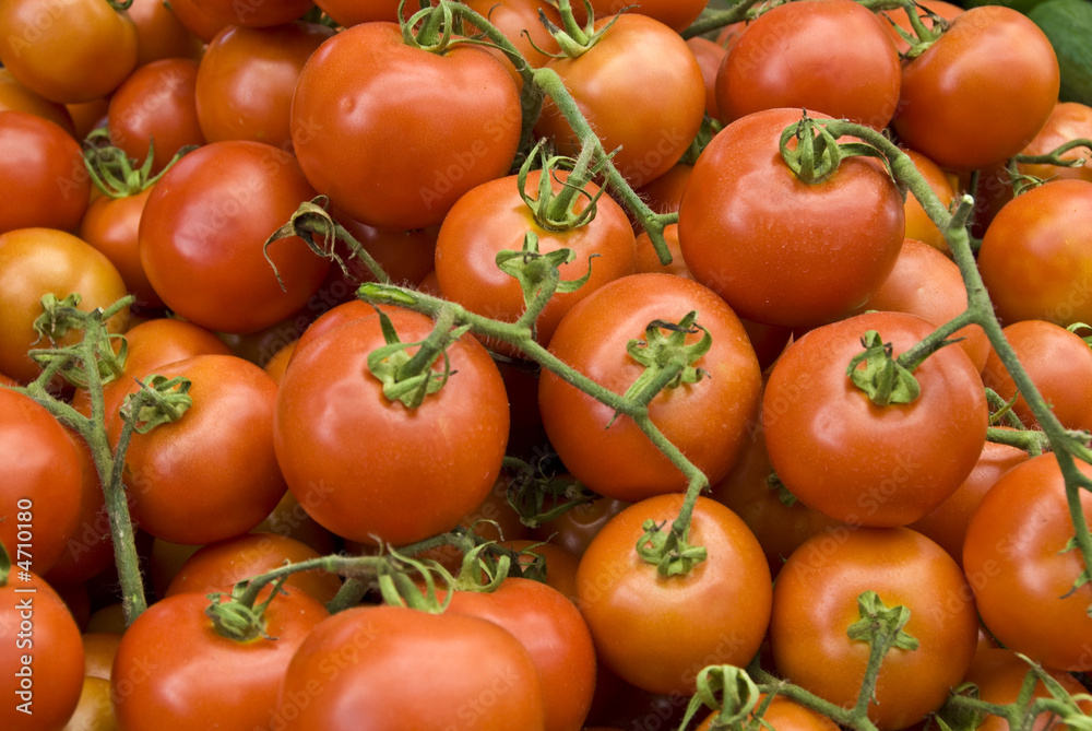 Fresh Tomatoes Fresh Tomatoes