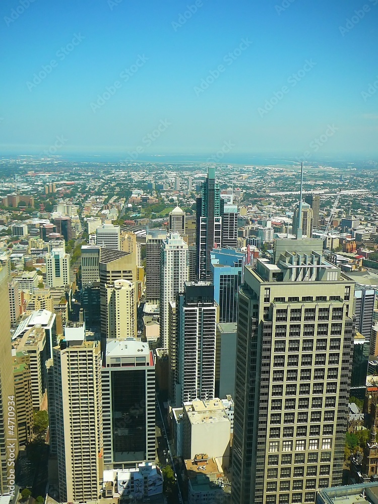 Obraz premium Sydney Skyline