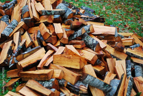 firewood on grass