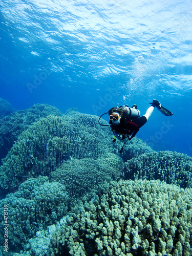 Diver over coral reef