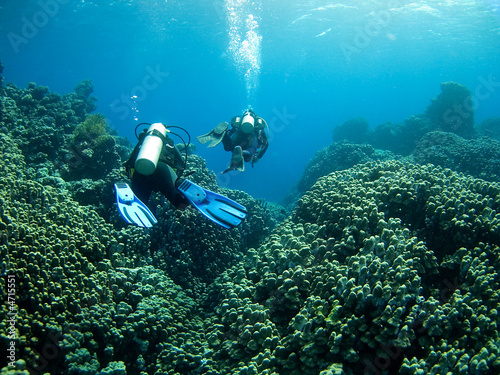 Divers over coral reef