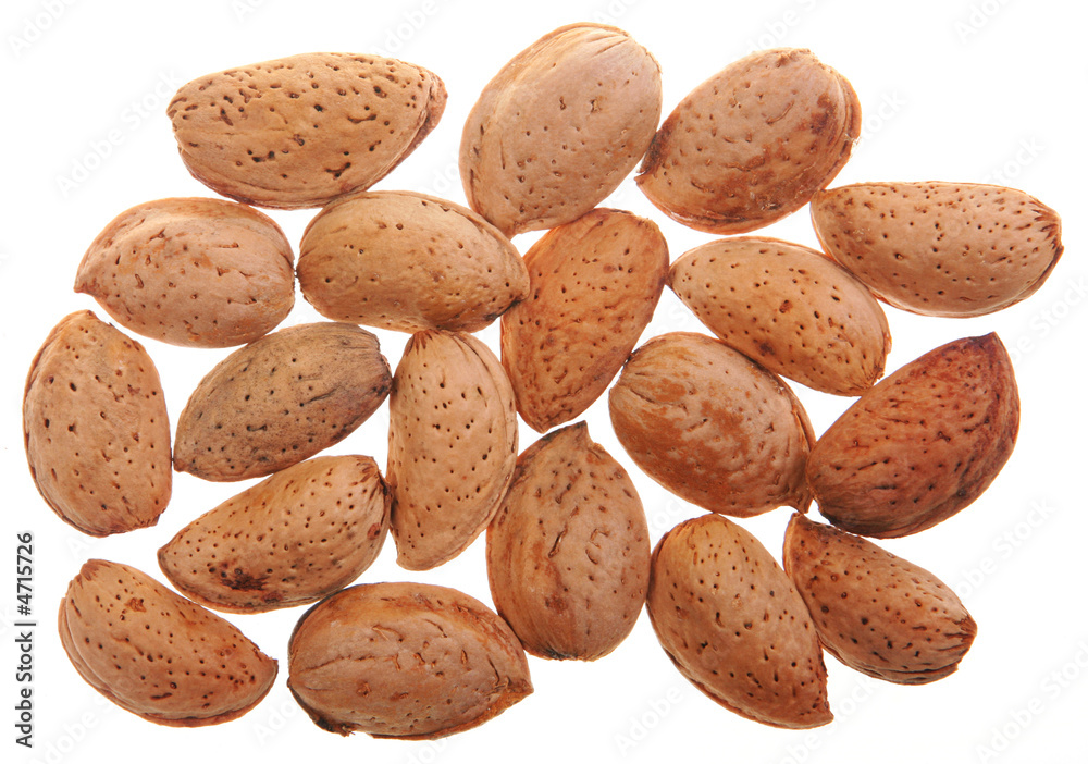 Almond nut Almond nut