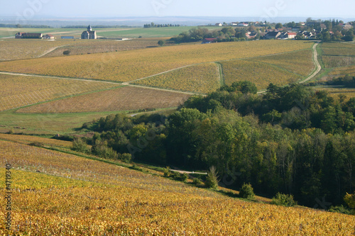 Tableau sur toile coteaux du Chablisien