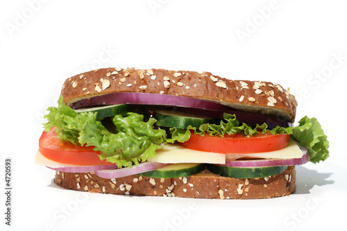 Healthy Vegetarian Sandwich