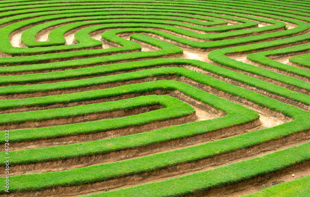 grass maze