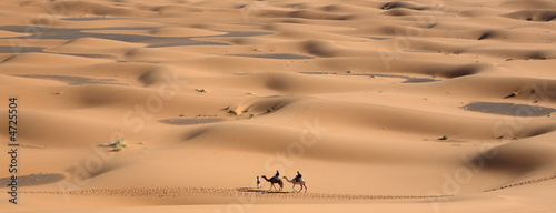 perdu dans le desert