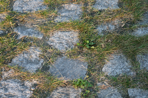 Old overgrown cobblestone pavement