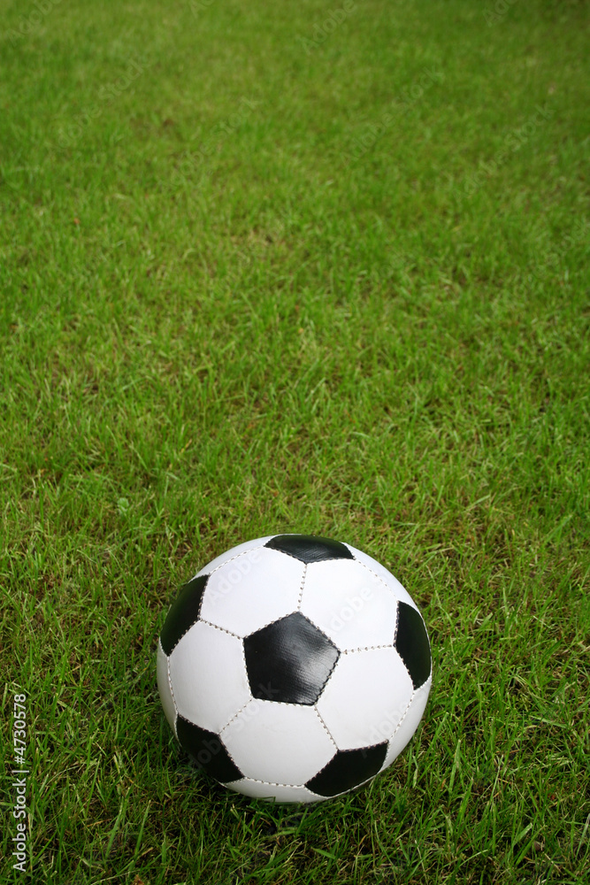 Soccer ball on a field Soccer ball on a field