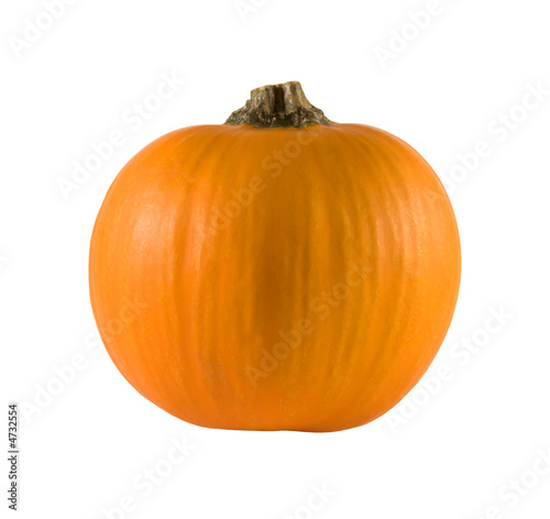 Miniature orange pumpkin on a white background
