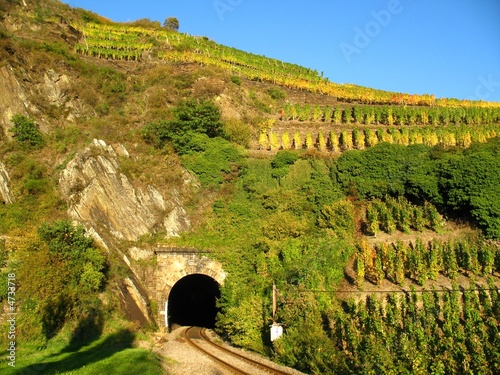 Tunnel im Weinberg photo