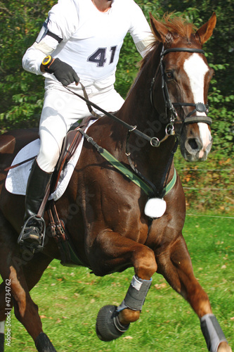 horse and rider following eventing track © Melissa Schalke