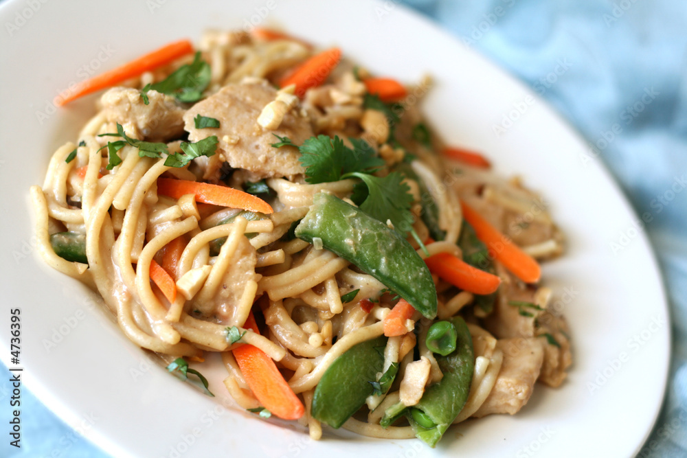 Pasta Noodles with Chicken and Vegetables