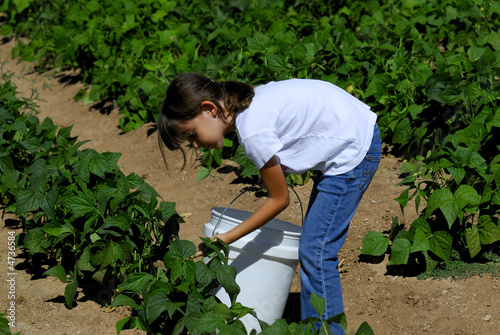 Young girl on the farm