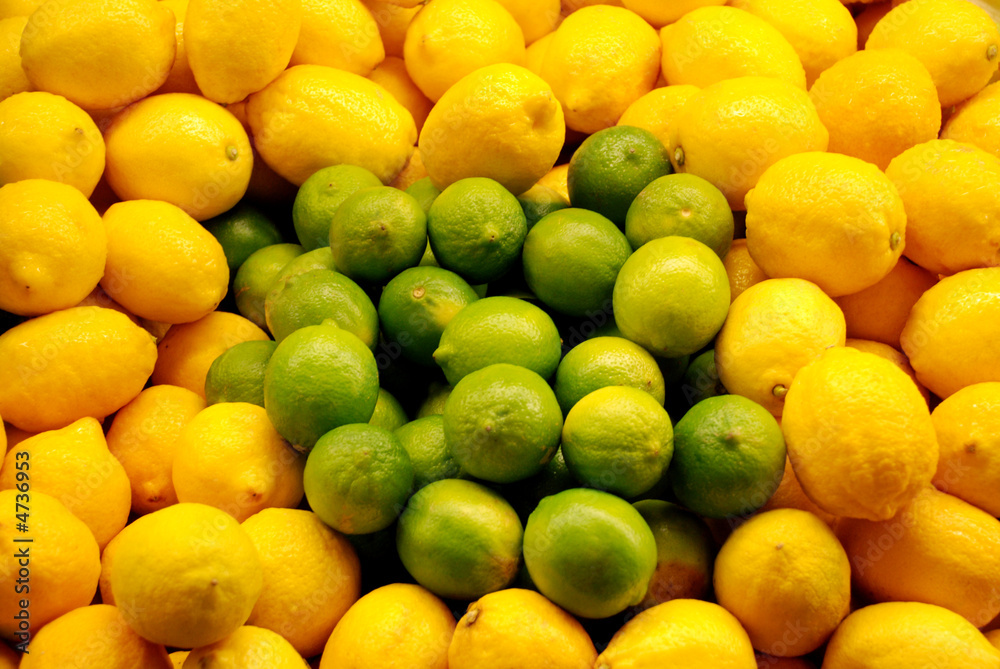 Limes Surrounded by Lemons