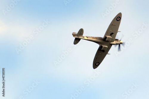 Tapety artystyczne Spitfire 