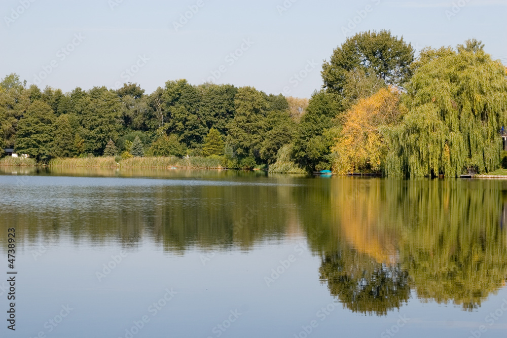 Waldspiegel Waldspiegel