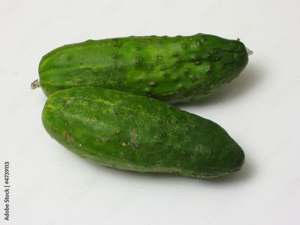 Two organic cucumbers Two organic cucumbers