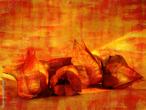 autumn still life